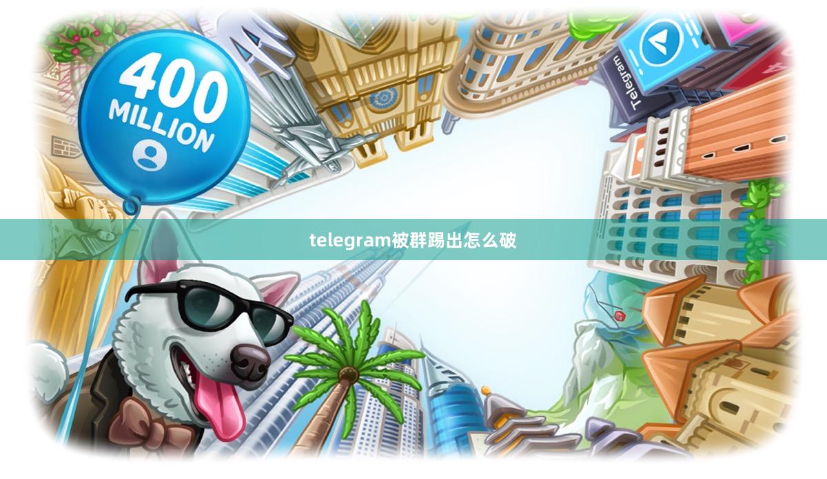 telegram被群踢出怎么破